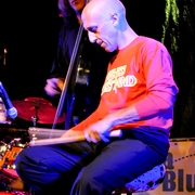 Fabio Treves Blues Band